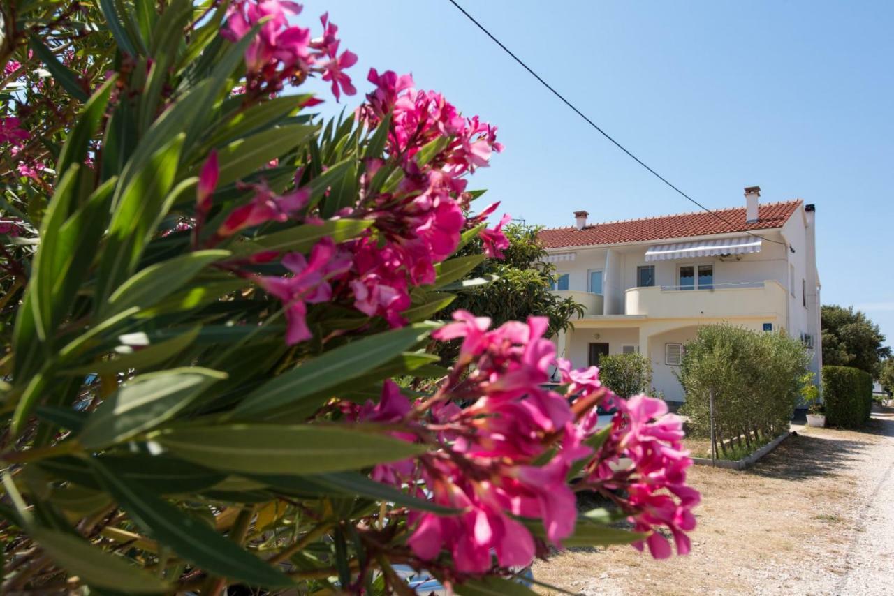Apartments Maco Petrcane Esterno foto
